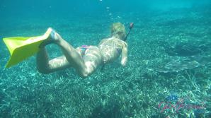 XXX A snorkel dive in paradise!