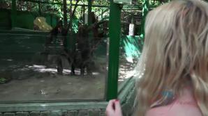 ATKporn Kenzie meets all the wild animals she could imagine!