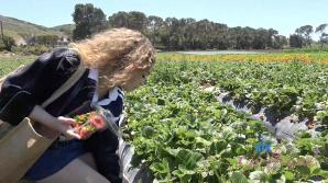 XXX Selina Imai Farm Date Part 1