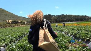 Selina Imai Farm Date Part 1 xxx video