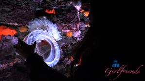 ATKporn Summer Renee Norcal Part 5