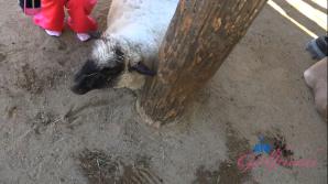 ATKporn Dez Hansen Farm Date Part 1