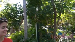 ATK Nicole Nichols Sarasota Part 5